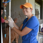 Screen Shot 2018-08-08 at 4.16.13 PM